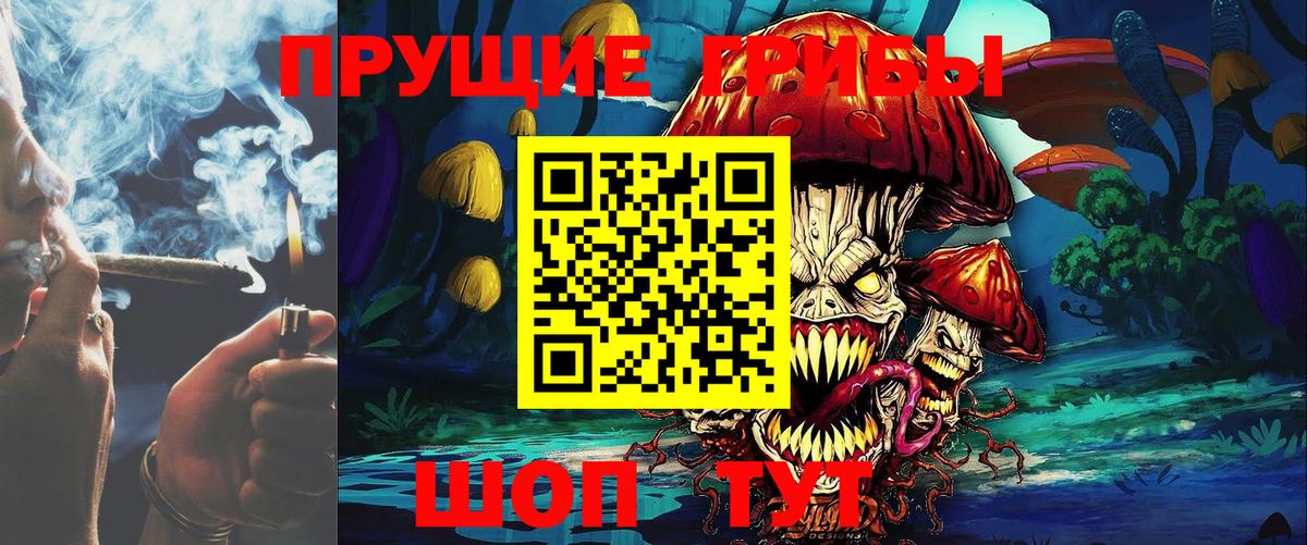 Галлюциногенные грибы мухоморы Сыктывкар