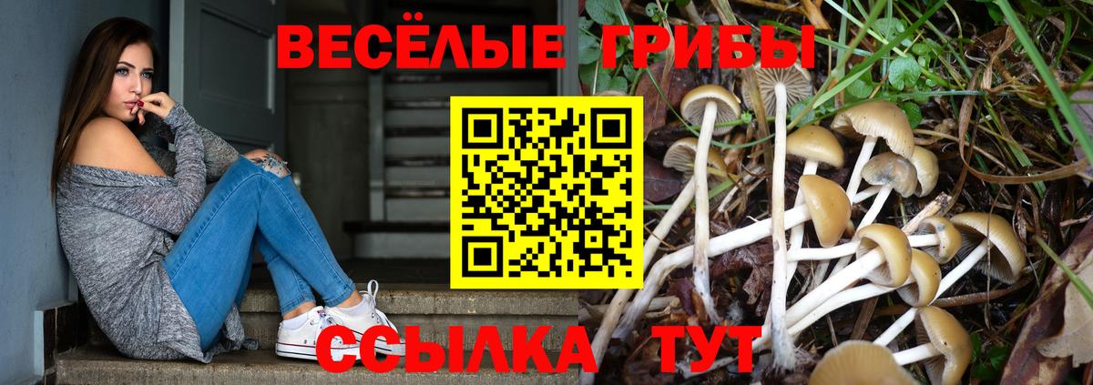 Галлюциногенные грибы Cubensis  Галлюциногенные грибы мухоморы  Сыктывкар  Вход с VPN 